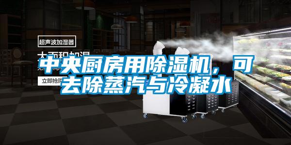 中央廚房用除濕機(jī)，可去除蒸汽與冷凝水