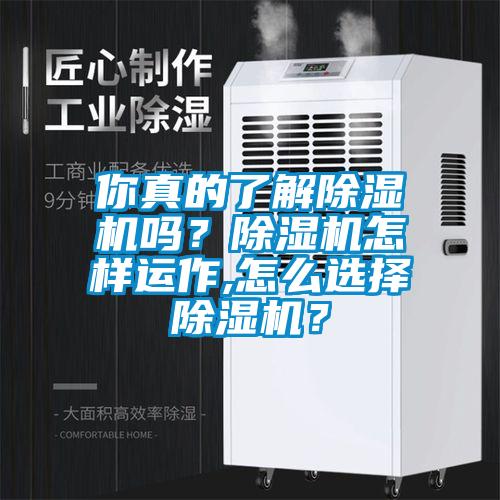 你真的了解除濕機(jī)嗎？除濕機(jī)怎樣運(yùn)作,怎么選擇除濕機(jī)？