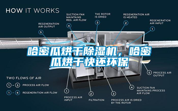 哈密瓜烘干除濕機(jī)，哈密瓜烘干快還環(huán)保