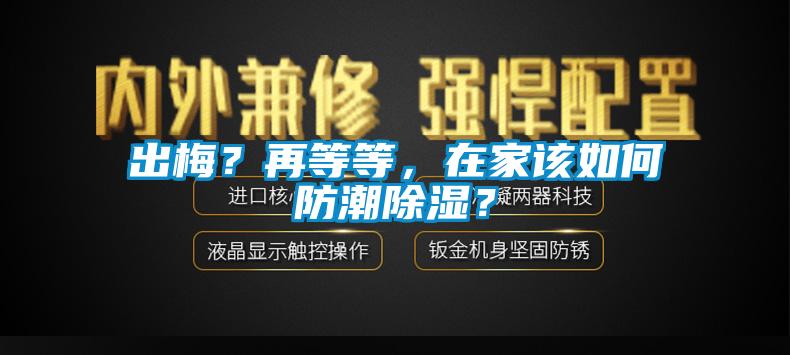 出梅？再等等，在家該如何防潮除濕？