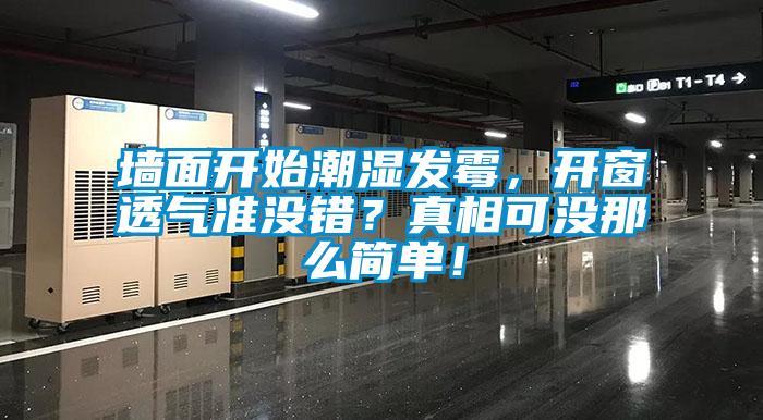 墻面開始潮濕發(fā)霉，開窗透氣準沒錯？真相可沒那么簡單！