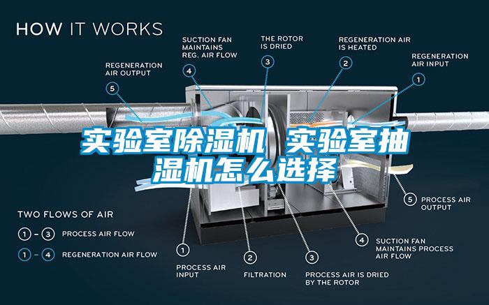 實(shí)驗(yàn)室除濕機(jī) 實(shí)驗(yàn)室抽濕機(jī)怎么選擇