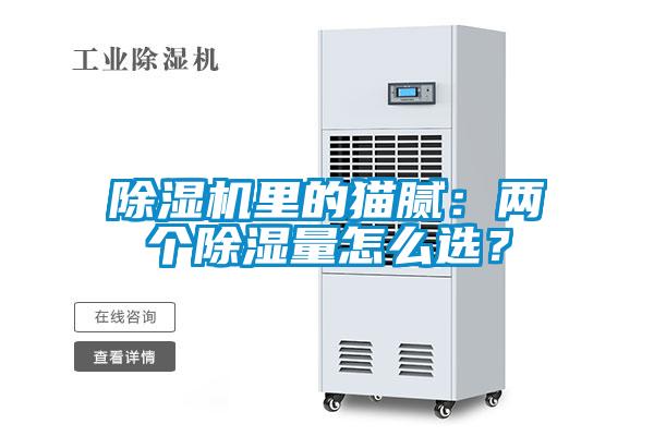 除濕機(jī)里的貓膩：兩個(gè)除濕量怎么選？