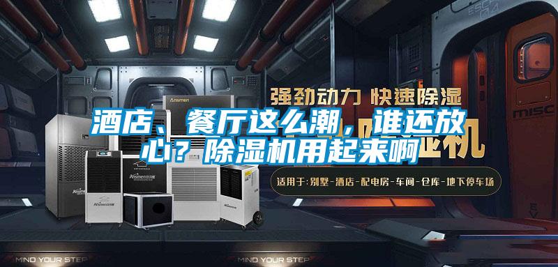 酒店、餐廳這么潮，誰還放心？除濕機用起來啊