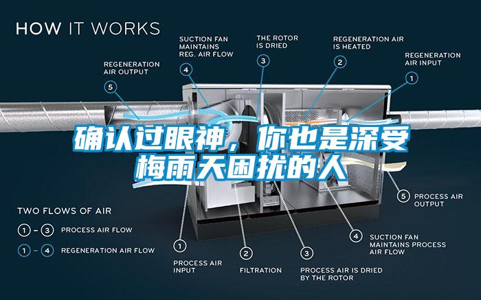 確認(rèn)過眼神，你也是深受梅雨天困擾的人