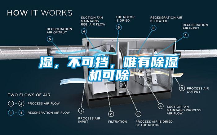 濕，不可擋，唯有除濕機(jī)可除