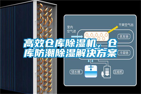高效倉庫除濕機，倉庫防潮除濕解決方案