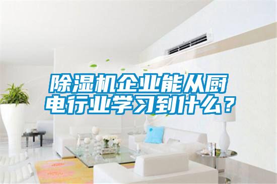 除濕機企業(yè)能從廚電行業(yè)學(xué)習(xí)到什么？