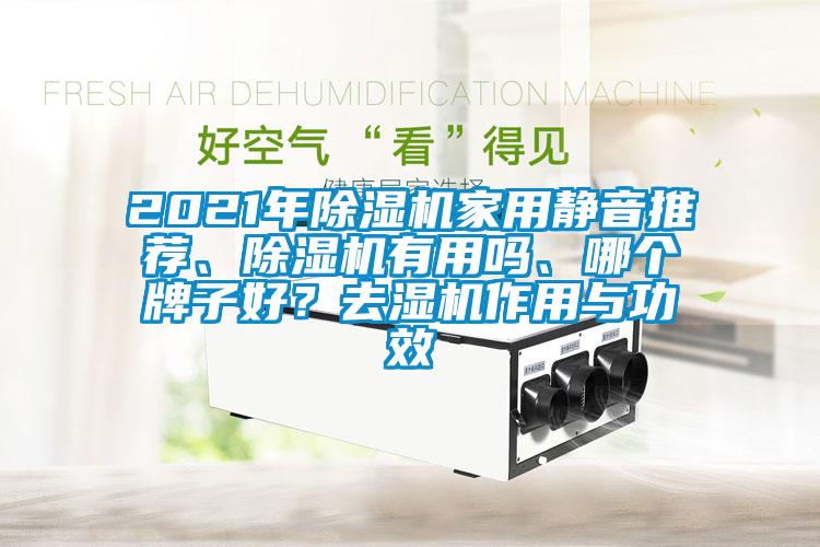 2021年除濕機家用靜音推薦、除濕機有用嗎、哪個牌子好？去濕機作用與功效