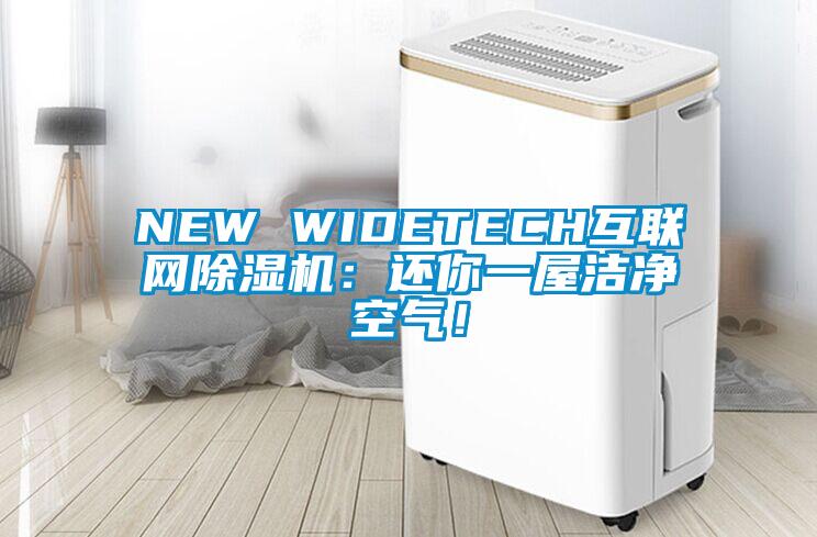 NEW WIDETECH互聯(lián)網(wǎng)除濕機：還你一屋潔凈空氣！