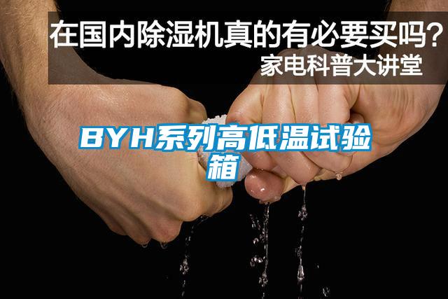 BYH系列高低溫試驗(yàn)箱