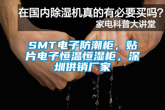 SMT電子防潮柜，貼片電子恒溫恒濕柜，深圳供銷廠家