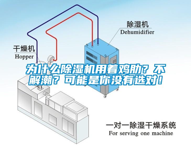 為什么除濕機(jī)用著雞肋？不解潮？可能是你沒有選對(duì)！