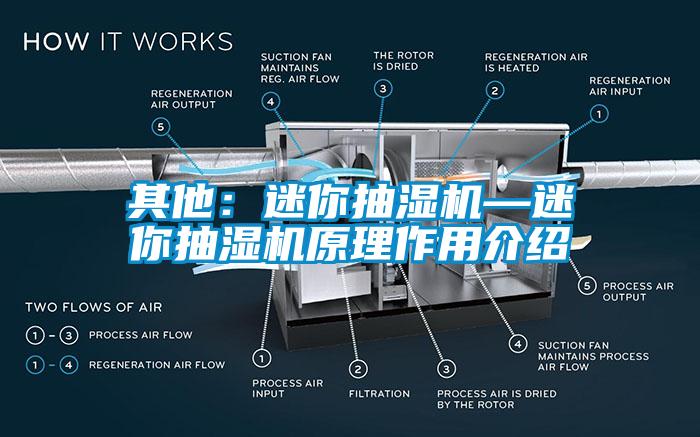 其他：迷你抽濕機(jī)—迷你抽濕機(jī)原理作用介紹