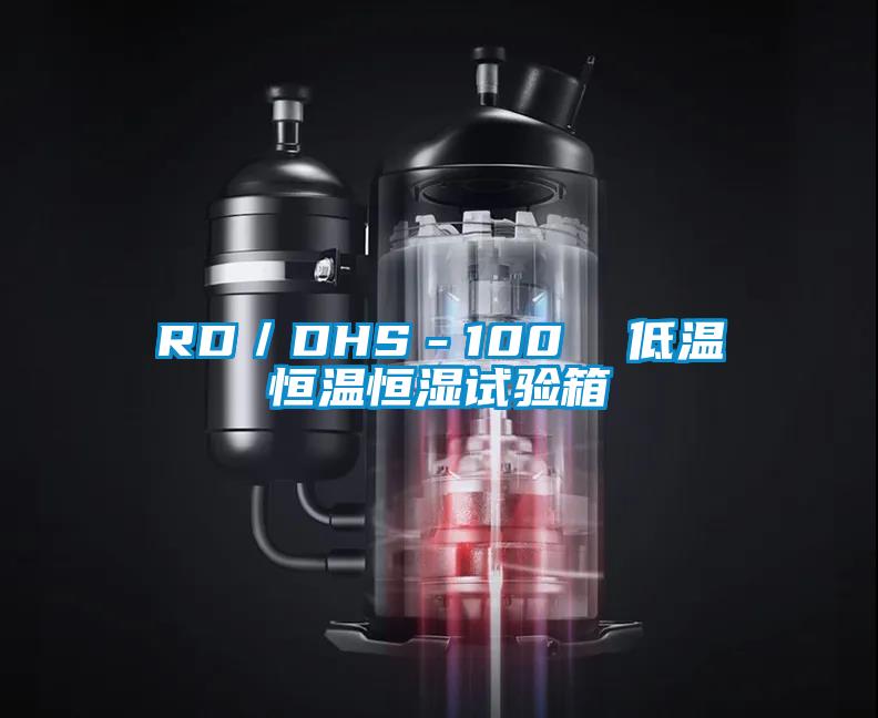 RD／DHS－100  低溫恒溫恒濕試驗箱