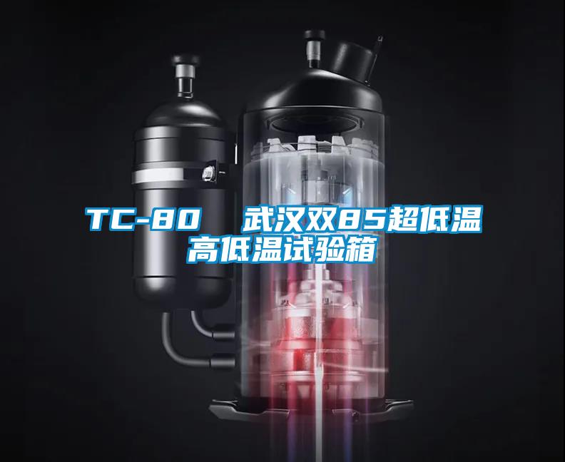 TC-80  武漢雙85超低溫高低溫試驗(yàn)箱