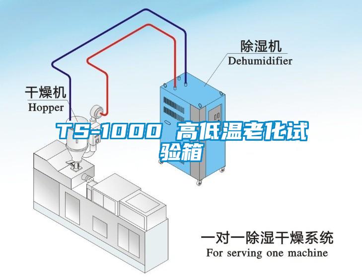 TS-1000 高低溫老化試驗(yàn)箱