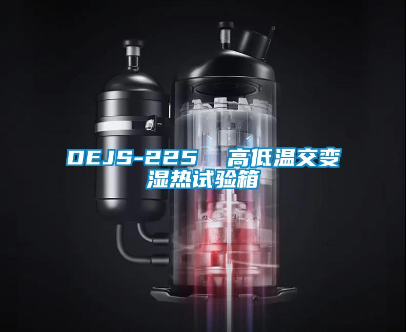 DEJS-225  高低溫交變濕熱試驗(yàn)箱