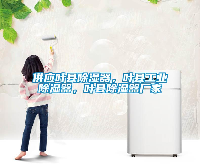 供應葉縣除濕器，葉縣工業(yè)除濕器，葉縣除濕器廠家