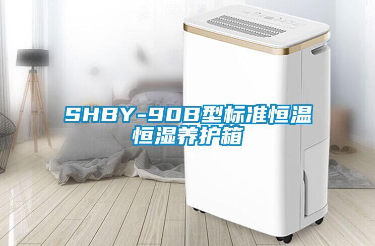 SHBY-90B型標準恒溫恒濕養(yǎng)護箱