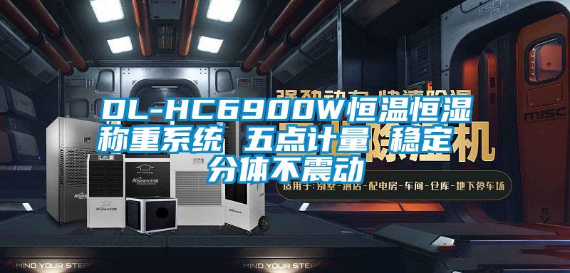 DL-HC6900W恒溫恒濕稱重系統(tǒng) 五點(diǎn)計(jì)量 穩(wěn)定 分體不震動(dòng)