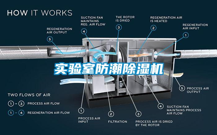 實(shí)驗(yàn)室防潮除濕機(jī)