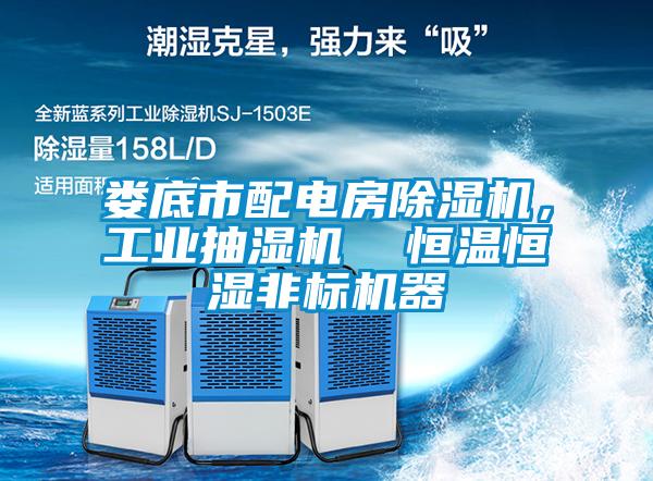 婁底市配電房除濕機(jī)，工業(yè)抽濕機(jī)  恒溫恒濕非標(biāo)機(jī)器