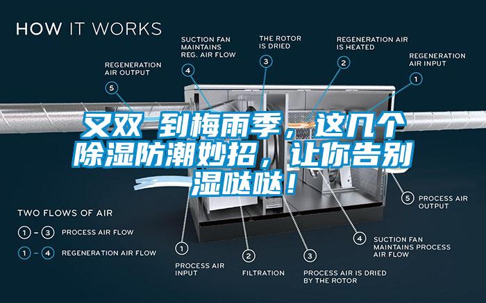 又雙叒到梅雨季，這幾個除濕防潮妙招，讓你告別濕噠噠！