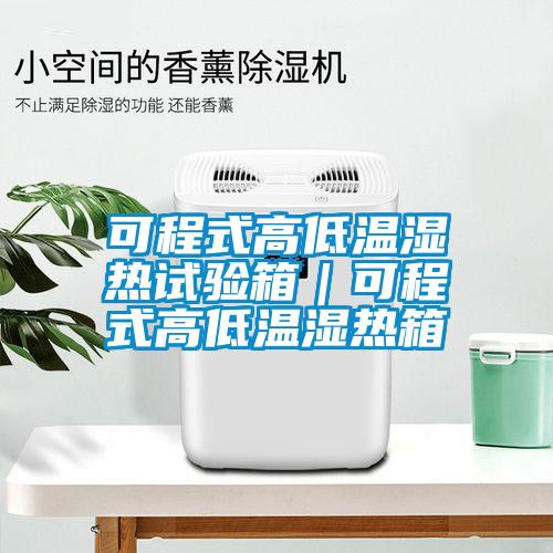 可程式高低溫濕熱試驗(yàn)箱｜可程式高低溫濕熱箱