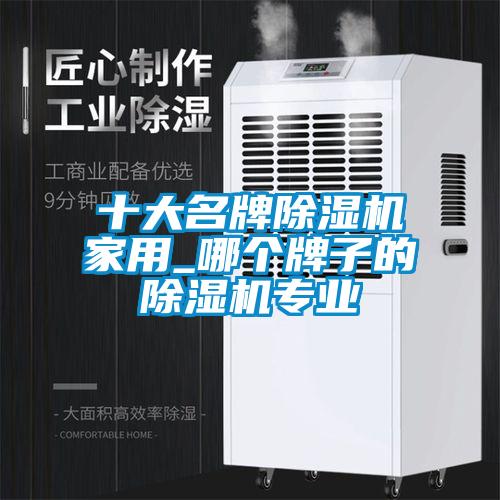 十大名牌除濕機家用_哪個牌子的除濕機專業(yè)