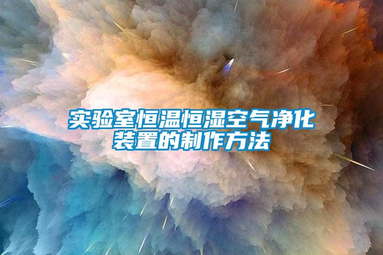 實(shí)驗(yàn)室恒溫恒濕空氣凈化裝置的制作方法