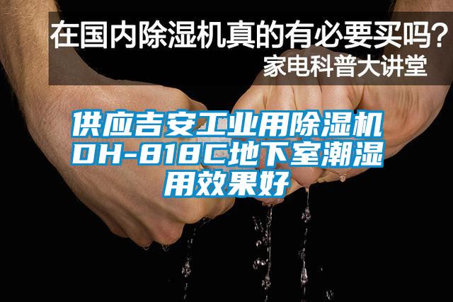 供應吉安工業(yè)用除濕機DH-818C地下室潮濕用效果好