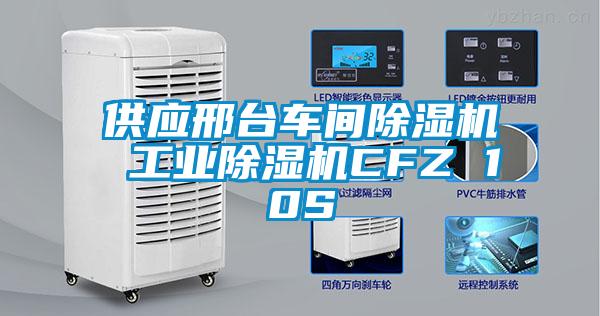 供應(yīng)邢臺車間除濕機(jī) 工業(yè)除濕機(jī)CFZ 10S