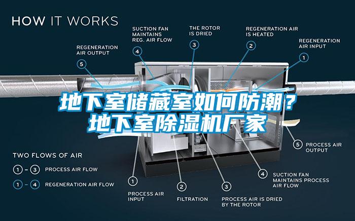 地下室儲(chǔ)藏室如何防潮？地下室除濕機(jī)廠家