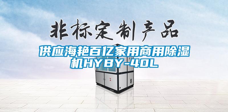 供應(yīng)海艷百億家用商用除濕機HYBY-40L