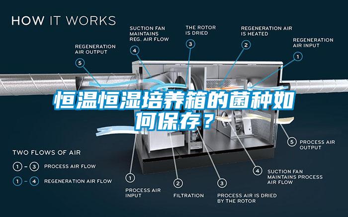 恒溫恒濕培養(yǎng)箱的菌種如何保存？