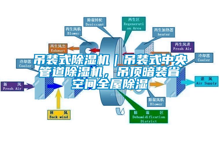 吊裝式除濕機｜吊裝式中央管道除濕機，吊頂暗裝省空間全屋除濕