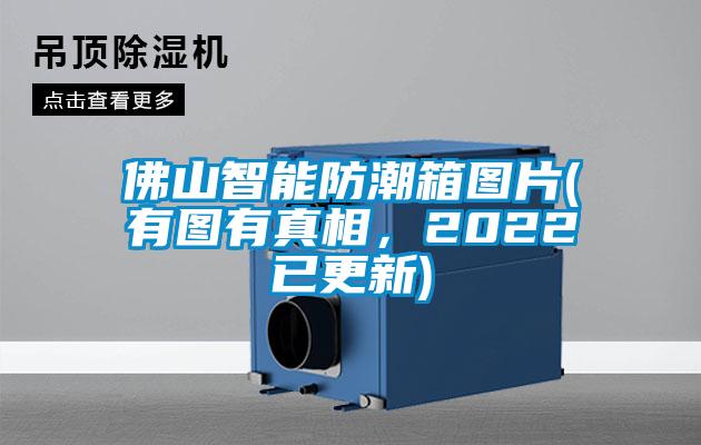 佛山智能防潮箱圖片(有圖有真相，2022已更新)