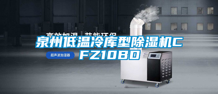 泉州低溫冷庫型除濕機CFZ10BD