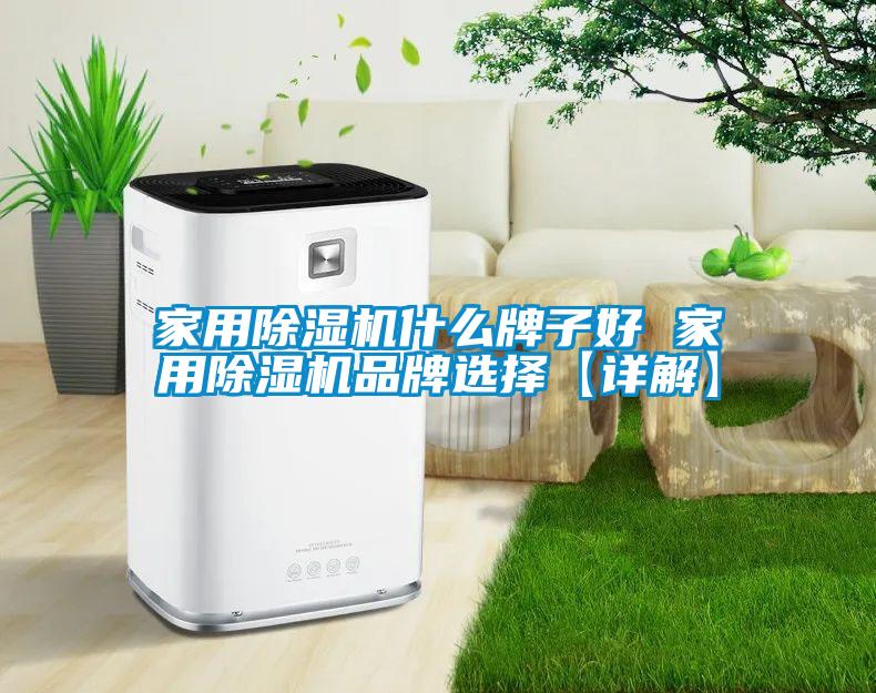 家用除濕機(jī)什么牌子好 家用除濕機(jī)品牌選擇【詳解】