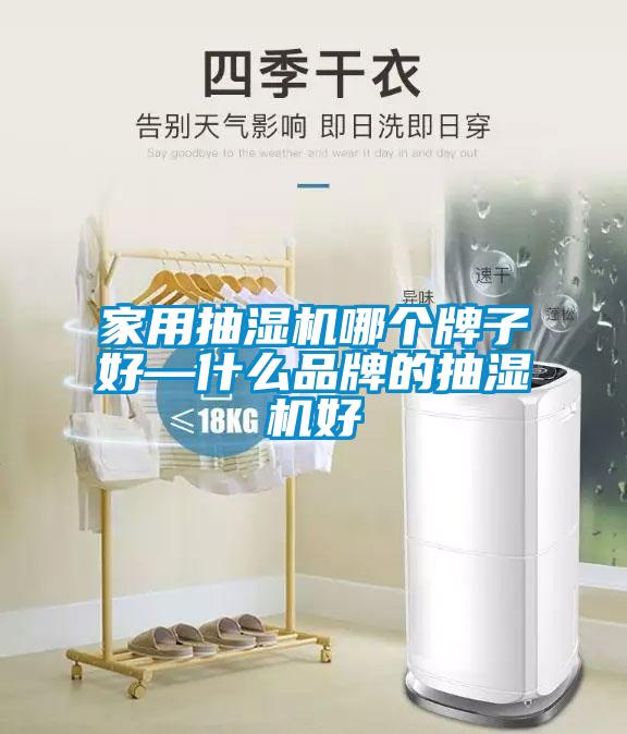 家用抽濕機(jī)哪個(gè)牌子好—什么品牌的抽濕機(jī)好