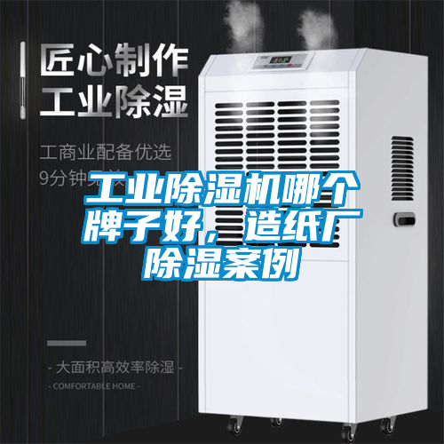 工業(yè)除濕機(jī)哪個(gè)牌子好，造紙廠除濕案例