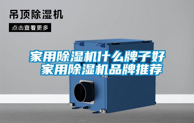 家用除濕機(jī)什么牌子好 家用除濕機(jī)品牌推薦