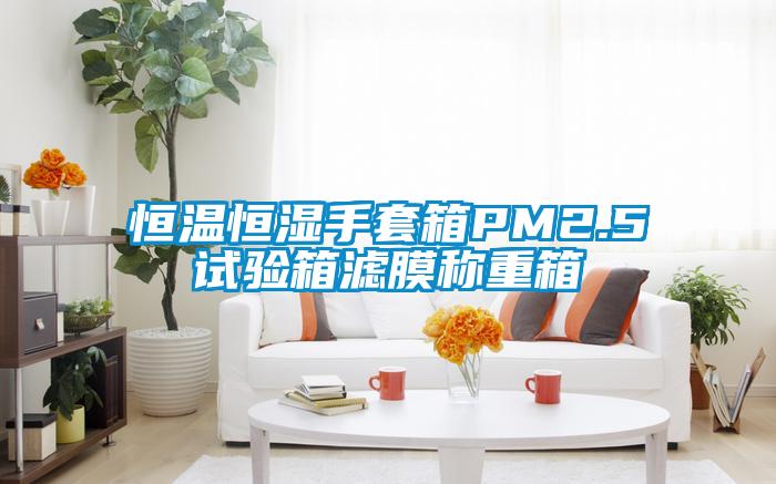 恒溫恒濕手套箱PM2.5試驗(yàn)箱濾膜稱重箱