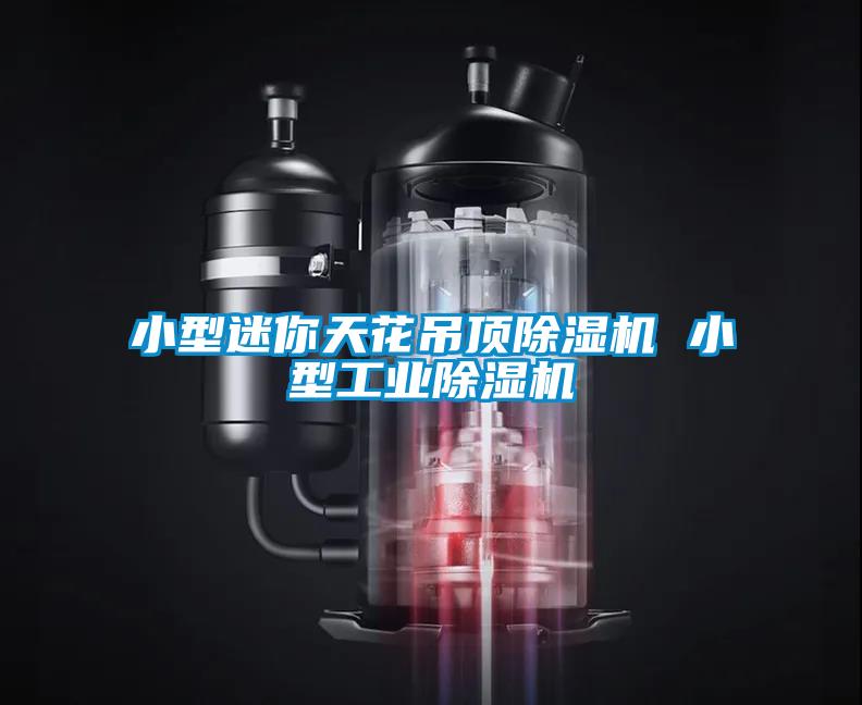 小型迷你天花吊頂除濕機 小型工業(yè)除濕機