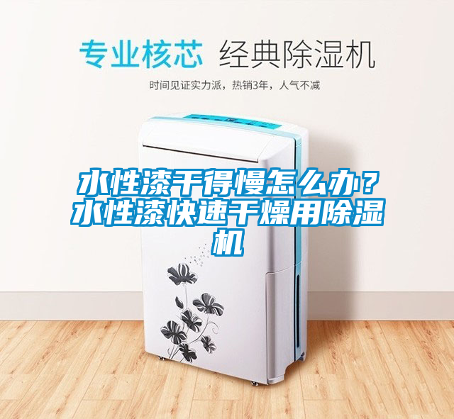 水性漆干得慢怎么辦？水性漆快速干燥用除濕機