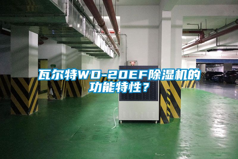 瓦爾特WD-20EF除濕機(jī)的功能特性？