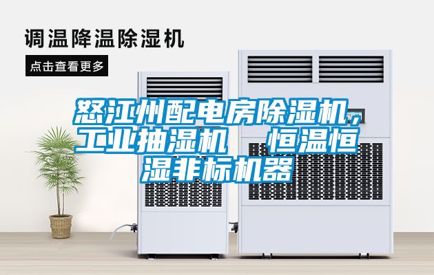 怒江州配電房除濕機，工業(yè)抽濕機  恒溫恒濕非標(biāo)機器