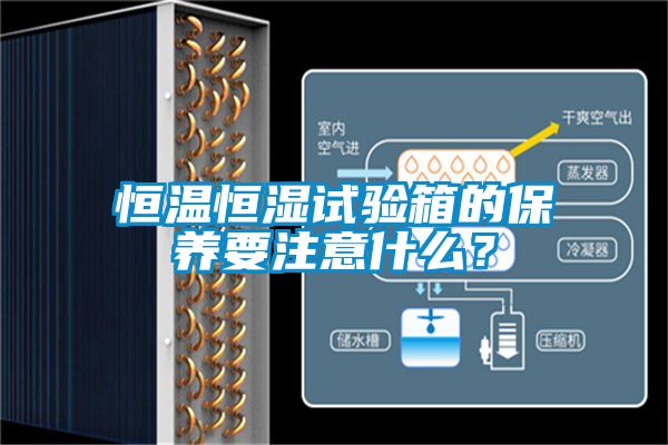 恒溫恒濕試驗(yàn)箱的保養(yǎng)要注意什么？