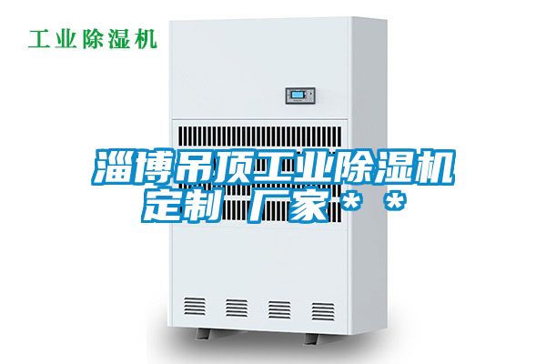 淄博吊頂工業(yè)除濕機(jī)定制 廠家＊＊